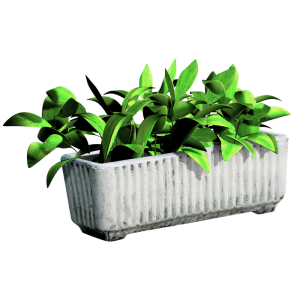 JARDINIERA PLANTE FLORI 5 cementarte
