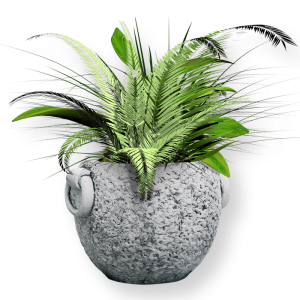 GHIVECI PLANTE SENIO 2 cementarte